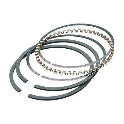 SEGMENTO B&S 3 HP 0,30 (JOGO)