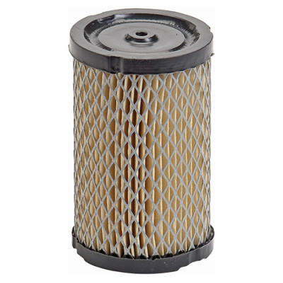 FILTRO AR TECUMSEH HM70/100...