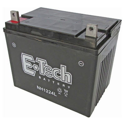 BATERIA TASHIMA SLA12-24...