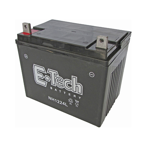 BATERIA TASHIMA SLA12-24 12V-24AH (195x130x180mm)