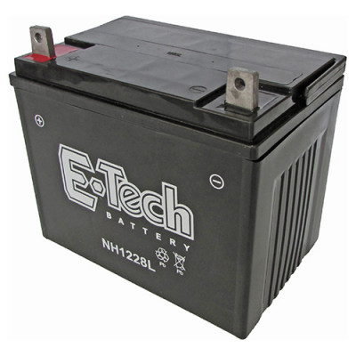 BATERIA TASHIMA SLA12-28...