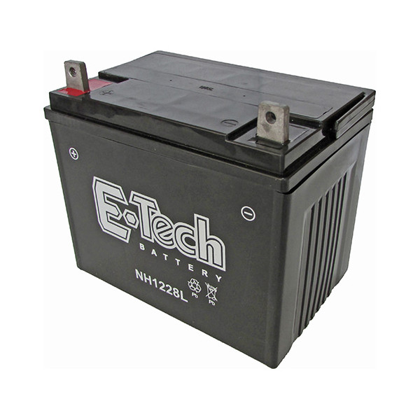 BATERIA TASHIMA SLA12-28 12V-28AH (195x130x180mm)