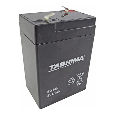 BATERIA TASHIMA SLA6-4...