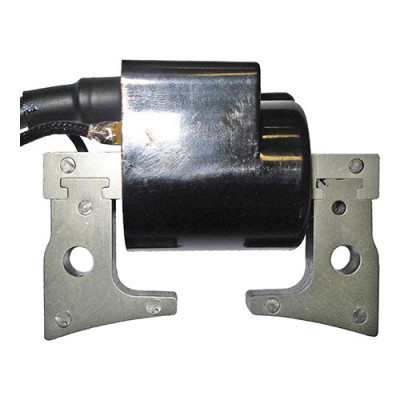 BOBINE ELETRONICA ROBIN...