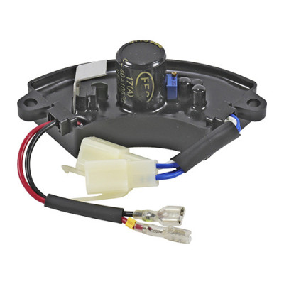 REGULADOR VOLTAGEM (AVR)...